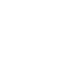 Trautmann Logo
